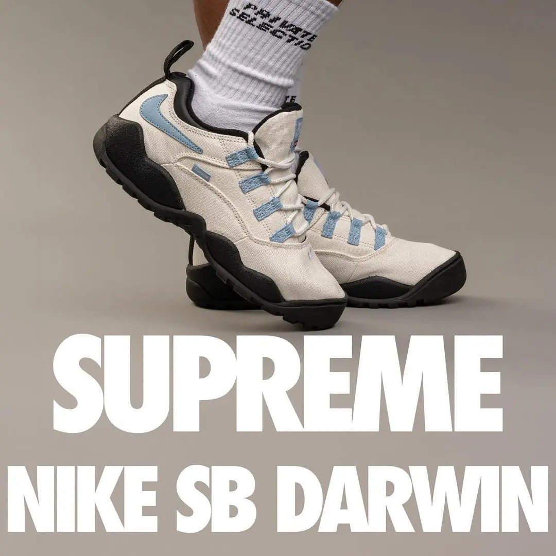 SupremeがNikeとのコラボアイテムを発表。Nike SB Darwin Lowスニーカー